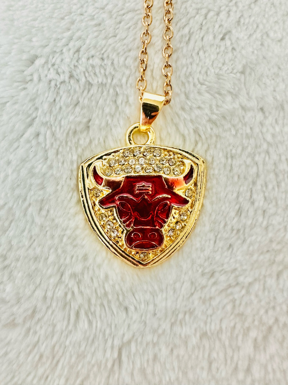 1993 Chicago Bulls Basketball Championship Pendant JORDAN - EB Sports Championship Rings