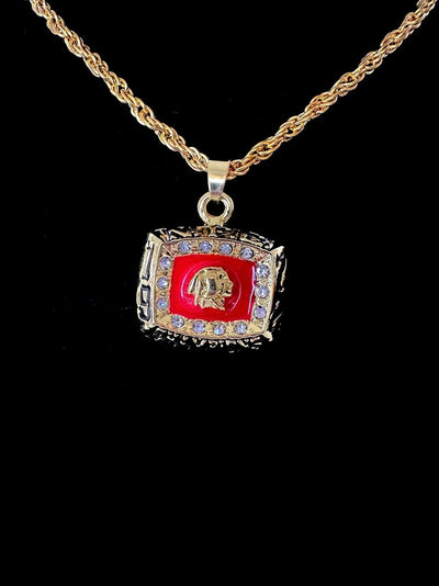 1972 Washington Redskins NFC Championship Pendant Necklace,  SHIP - EB Sports Champion's Cache